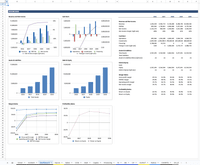 Marketplace financial model template